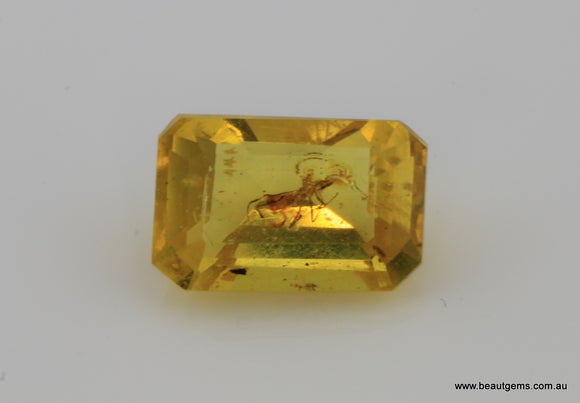 1.62 carat Burma Amber with Insect Inside