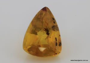 1.64 carat Burma Amber with Insect Inside