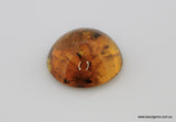 4.14 carat Burma Amber with Insect Inside
