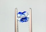 1.06 carat Ceylon Bi-Colour Blue and White Sapphire