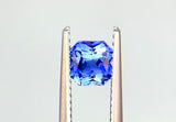1.06 carat Ceylon Bi-colour Blue and White Sapphire
