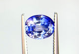 2.57 carat Ceylon Bi-colour Blue and White Sapphire