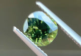 1.80 carat Thailand Green Sapphire
