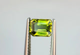 1.15 carat Australia Green and Yellow Parti Sapphire