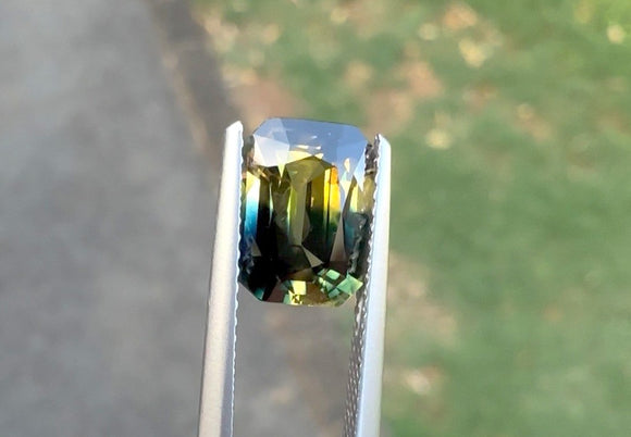 3.14 carat Thailand Bi-colour Blue and Yellow Parti Sapphire