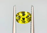 1.33 carat Queensland Australia Yellow Sapphire