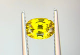 1.33 carat Queensland Australia Yellow Sapphire
