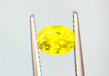 1.47 carat Queensland Australia Yellow Sapphire