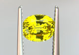 1.67 carat Queensland Australia Yellow Sapphire