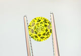 1.71 carat Queensland Australia Yellow Sapphire