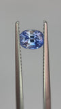 1.22 carat Ceylon Blue Sapphire