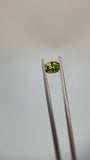 1.20 carat Queensland Australia Yellow Sapphire