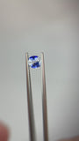 1.06 carat Ceylon Bi-Colour Blue and White Sapphire
