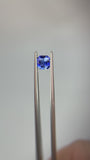 1.06 carat Ceylon Bi-colour Blue and White Sapphire