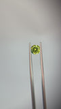 1.30 carat Queensland Australia Yellow Sapphire