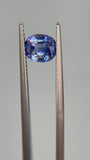 1.72 carat Ceylon Blue Sapphire