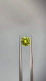 1.63 carat Queensland Australia Yellow Sapphire