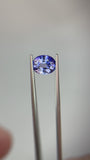 2.57 carat Ceylon Bi-colour Blue and White Sapphire