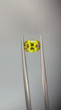 1.33 carat Queensland Australia Yellow Sapphire