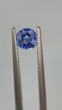 0.88 carat Ceylon Blue Sapphire