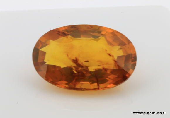 12.22 carat Burma Amber with Insect Inside