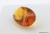 12.22 carat Burma Amber with Insect Inside