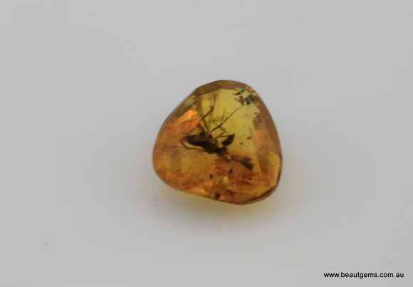 1.27 carat Burma Amber with Insect Inside