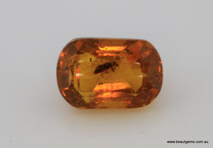 1.54 carat Burma Amber with Insect Inside