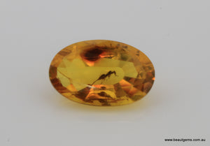 2.12 carat Burma Amber with Insect Inside