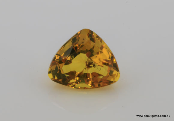 2.20 carat Burma Amber with Insect Inside