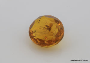 3.75 carat Burma Amber with Insect Inside