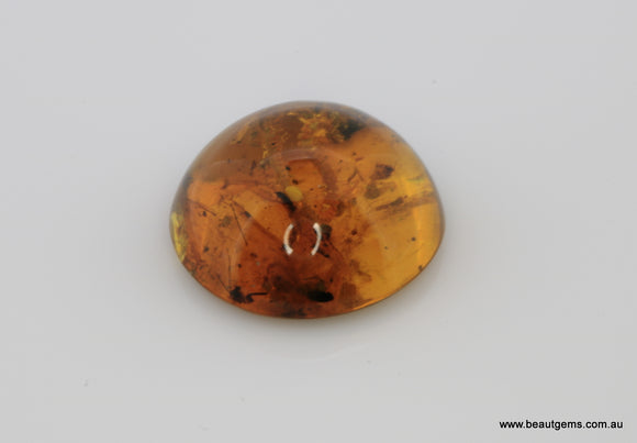 4.14 carat Burma Amber with Insect Inside