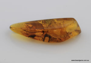 4.54 carat Burma Amber with Insect Inside